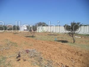 av terrain de 500m a monchar hammamet sud