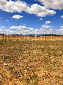 av terrain de 462m a hammamet sud