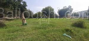 Un terrain de 350 m² à vendre à 210 MD 51355351