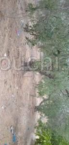 av terrain 670m² a hammamet