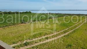 Un terrain pied dans l'eau à vendre à Korba 51355351
