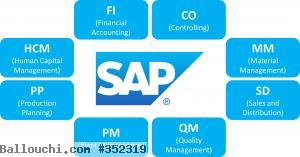 Formation SAP