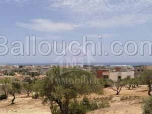 Des lots à vendre à Mrezga 51355351