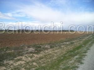 av terrain de 9000m² a hammamet sud