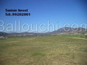 av terrain agricole de 17900m² a hammamet