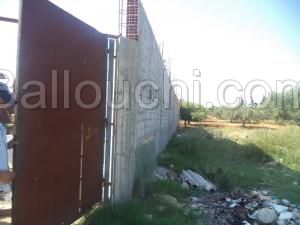 av terrain de 500m a hammamet sud