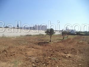 av terrain 500m² a hammamet sud