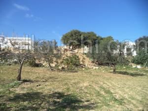 av terrain 1030m² a hammamet