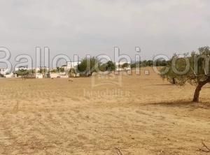 Un terrain de 2750 m² à vendre à 110 MD 51355351