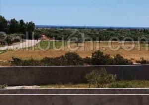 Superbe terrain à vendre à 135 MD 51355351
