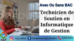 Technicien en informatique de gestion