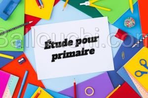 Cours particulier pour primaire