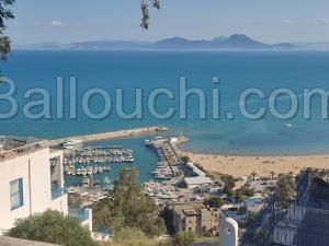 V254 Villa SIDI BOUSAID VILLA