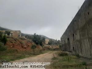 Ferme Orchidée T1025 Hammamet