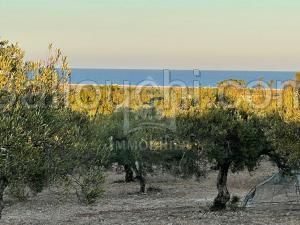 Terrai de 3316 m² à vendre à Maamoura 51355351
