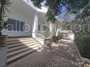 V251 Dar CHAMS DAR CHAMS HAMMAMET