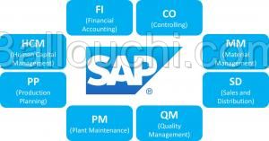 formation en SAP (Métier ou Paramétrage)