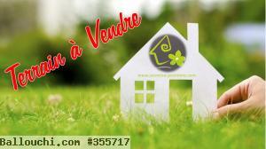 Terrain TH1038 Barreket Essahel :