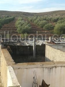 أرض فلاحية
