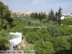 Terrain Lara 2 T841 Hammamet el monchar