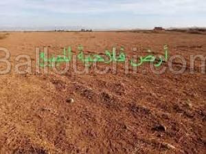للبيع ارض فلاحية بالقيروان