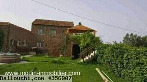 FERME SOMAA Beni Khiar T1056