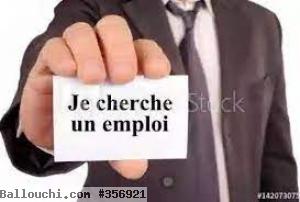 Diplômé en informatique