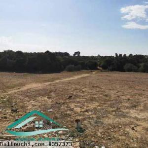 VT758Terrain agricole 7226 m² à Kelibia