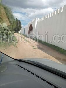 Superbe terrain de 613 m² à vendre à Hammamet 51355351