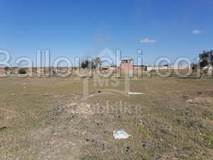 Lot de terrain à vendre à Hammamet à 55 MD 51355351