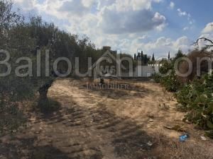 Terrains constructibles à vendre à Mrezga 51355351