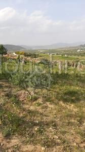 Terrain arboré de 1000 m² à vendre à 55 MD 51355351