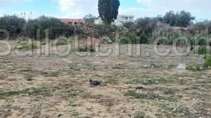 Terrain vue de mer à vendre à Nabeul 51355351