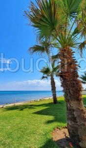 V293 Appartement PLAYA CENTRE VILLE