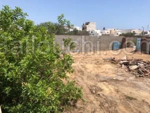Superbe terrain clôturé à vendre à Hammamet 51355351