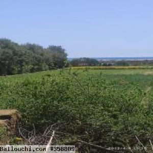 Terrain Daroufa 3M550