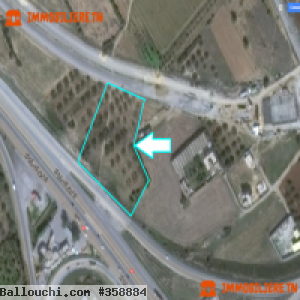 A vendre Terrain Turki Grombalia 480/16