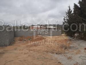 Lot de terrain à vendre à Hammamet 51355351