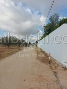 Terrain clôturé à vendre à Hammamet Sud à 300 dt/m² 51355351