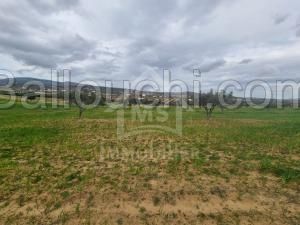 Terrain de 1 hectare à vendre à Hammamet 51355351