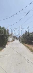 Terrain clôturé à vendre à Hammamet Nord 51355351