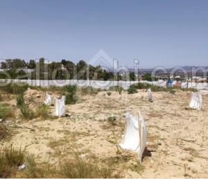 Terrain de 1000 m² à vendre à Hammamet 51355351