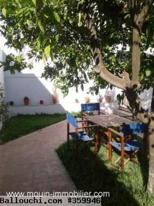 DUPLEX TWEETY A Hammamet Centre AL1828