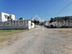 Terrain de 555 m² à vendre à Hammamet Sud à 555 MD 51355351