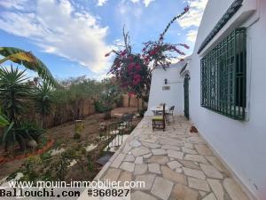 MAISON LEOPARD A Hammamet II AL3057