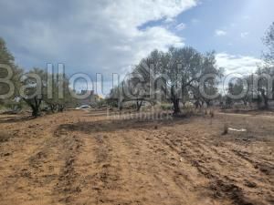 Superbe terrain de 650 m² à vendre à Mrezga 51355351