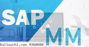 Formation SAP MM