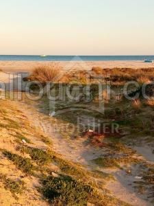 Terrain viabilisé pied dans l'eau à vendre 51355351