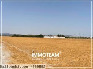 A VENDRE Un beau terrain