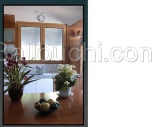 MENUISERIE ALUMINIUM ET VOLETS ROULANTS